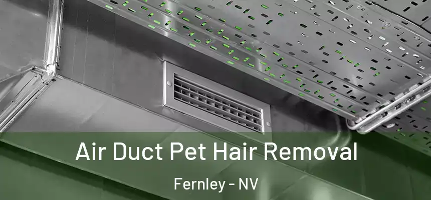  Air Duct Pet Hair Removal Fernley - NV
