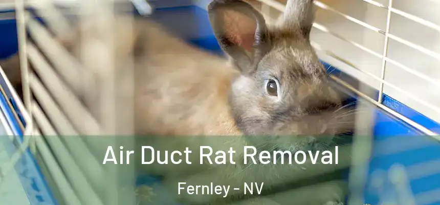  Air Duct Rat Removal Fernley - NV