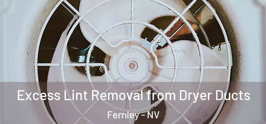  Excess Lint Removal from Dryer Ducts Fernley - NV