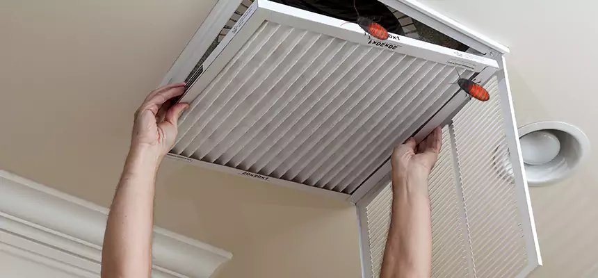 Preventive Cockroach-Proofing for Ducts in Fernley