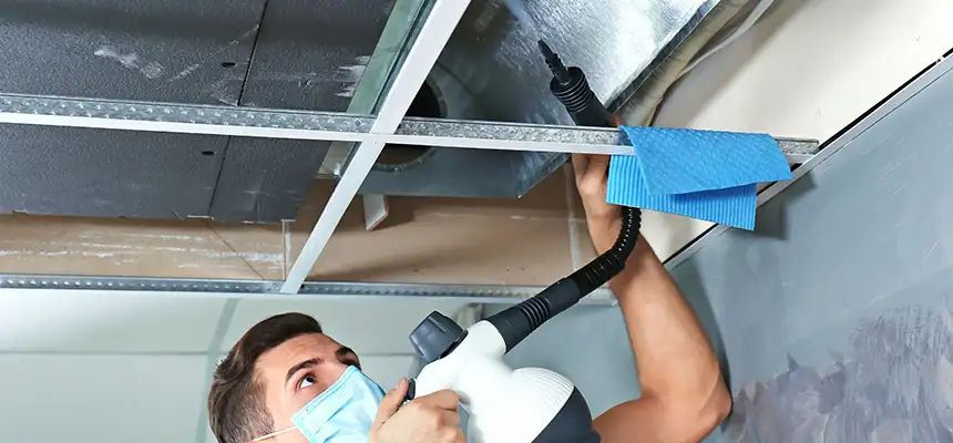 Our Air Duct Rodent Removal Services in Fernley, NV