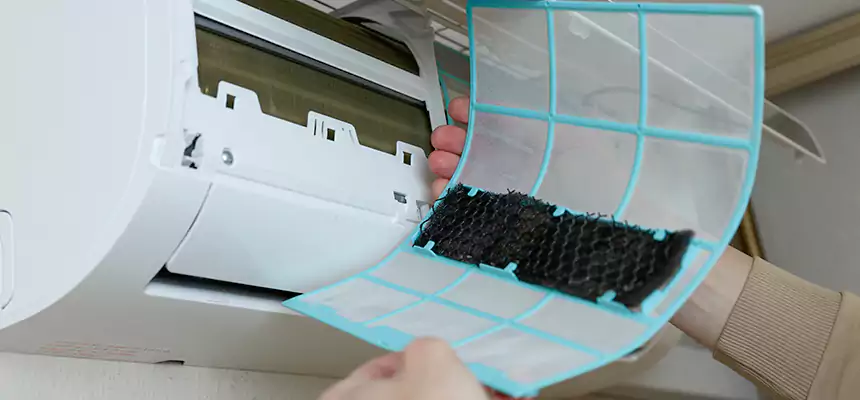 Gentle Ductwork Odor-Control Pet Dander Duct Cleaning in Fernley, NV