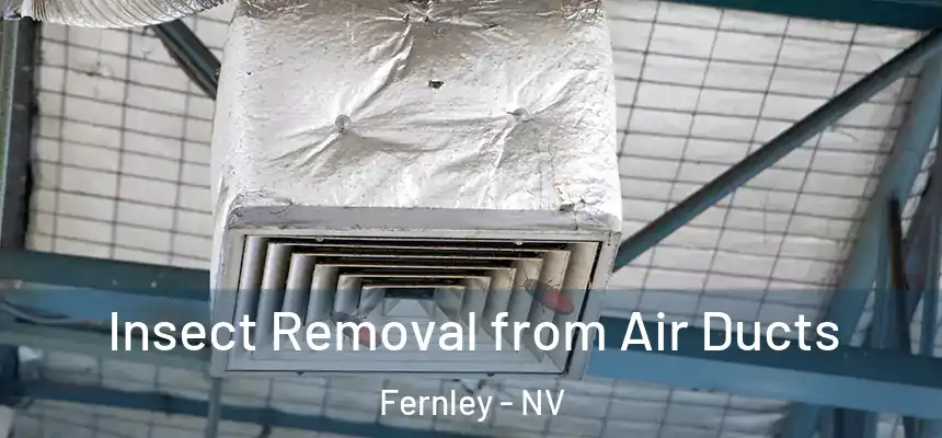  Insect Removal from Air Ducts Fernley - NV
