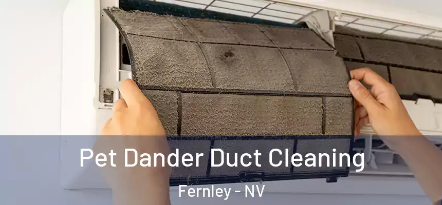 Pet Dander Duct Cleaning Fernley - NV