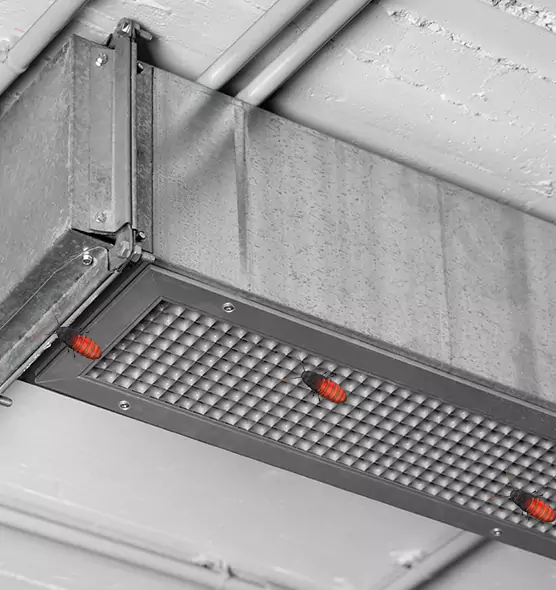 About Air Duct Cockroach Removal in Fernley, NV