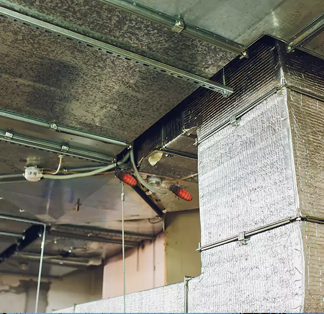 Why Homeowners & Businesses Trust Us in Fernley, NV?