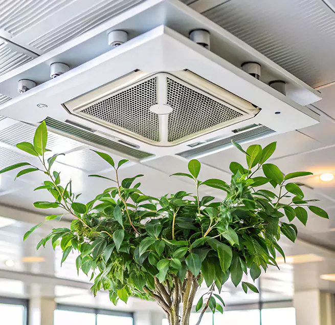 Why Homeowners & Businesses Trust Us in Fernley, NV